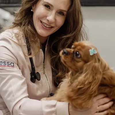 Veterinária com um cão no colo durante o atendimento